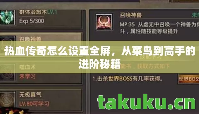 热血传奇怎么设置全屏，从菜鸟到高手的进阶秘籍