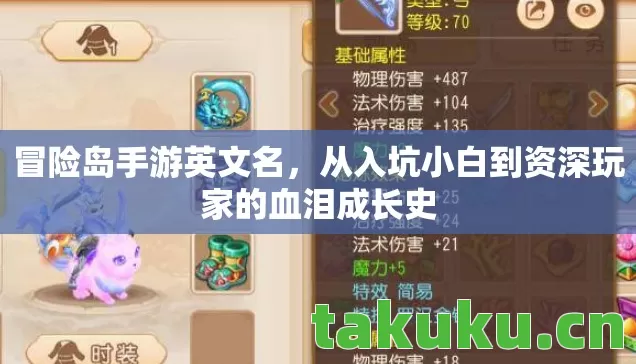 冒险岛手游英文名，从入坑小白到资深玩家的血泪成长史