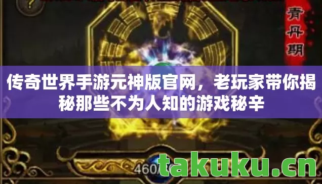传奇世界手游元神版官网，老玩家带你揭秘那些不为人知的游戏秘辛