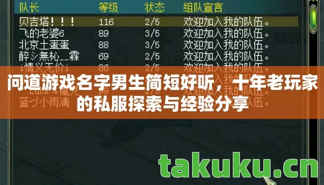 问道游戏名字男生简短好听，十年老玩家的私服探索与经验分享