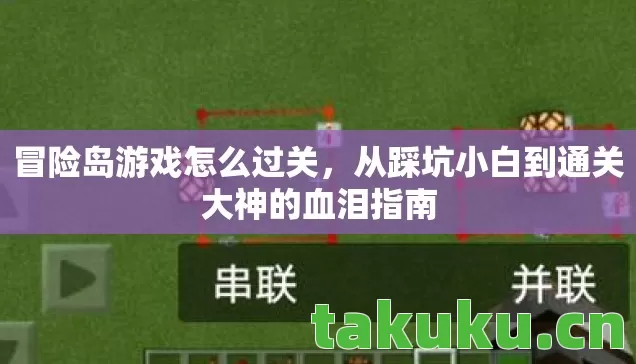 冒险岛游戏怎么过关，从踩坑小白到通关大神的血泪指南