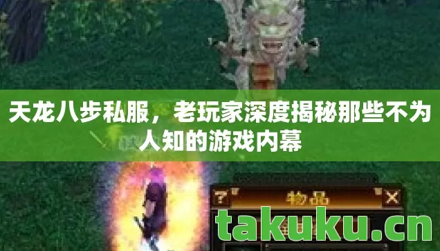 天龙八步私服，老玩家深度揭秘那些不为人知的游戏内幕