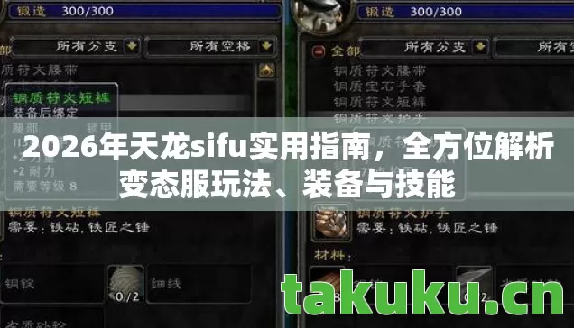2026年天龙sifu实用指南，全方位解析变态服玩法、装备与技能