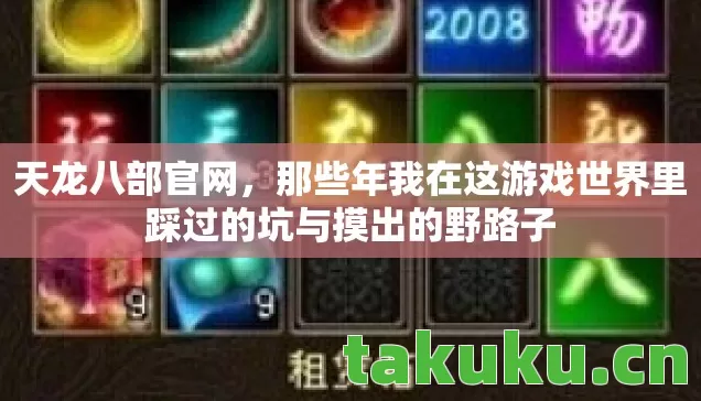 天龙八部官网，那些年我在这游戏世界里踩过的坑与摸出的野路子