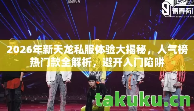 2026年新天龙私服体验大揭秘，人气榜热门款全解析，避开入门陷阱