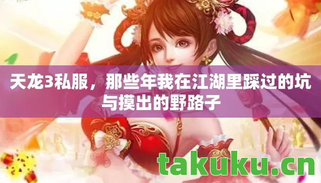天龙3私服，那些年我在江湖里踩过的坑与摸出的野路子