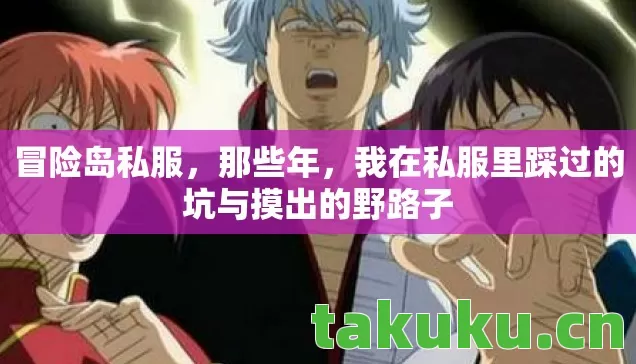 冒险岛私服，那些年，我在私服里踩过的坑与摸出的野路子