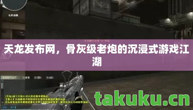 天龙发布网，骨灰级老炮的沉浸式游戏江湖