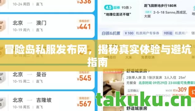 冒险岛私服发布网，揭秘真实体验与避坑指南