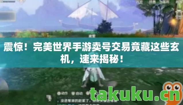 震惊！完美世界手游卖号交易竟藏这些玄机，速来揭秘！