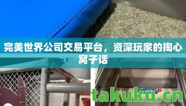 完美世界公司交易平台，资深玩家的掏心窝子话