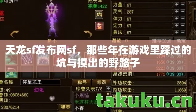 天龙sf发布网sf，那些年在游戏里踩过的坑与摸出的野路子