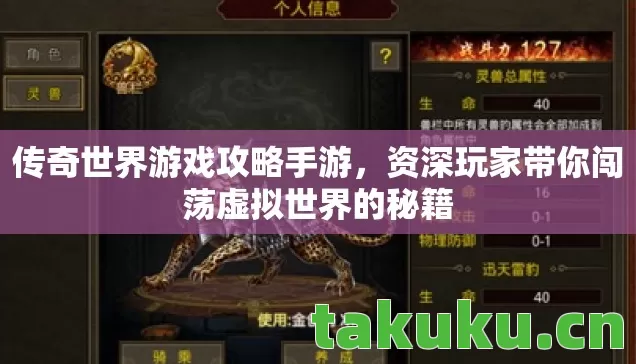 传奇世界游戏攻略手游，资深玩家带你闯荡虚拟世界的秘籍