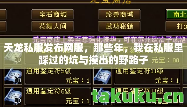 天龙私服发布网服,那些年,我在私服里踩过的坑与摸出的野路子 天龙私服发布网服,那些年,我在私服里踩过的坑与摸出的野路子