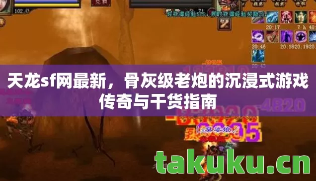 天龙sf网最新,骨灰级老炮的沉浸式游戏传奇与干货指南 天龙sf网最新,骨灰级老炮的沉浸式游戏传奇与干货指南