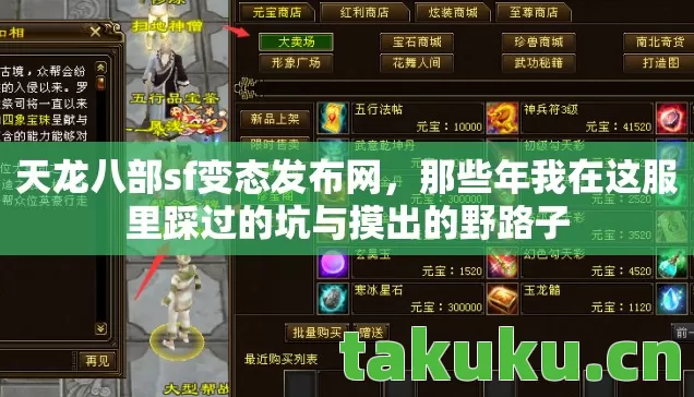 天龙八部sf变态发布网，那些年我在这服里踩过的坑与摸出的野路子