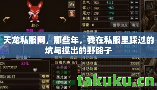 天龙私服网,那些年,我在私服里踩过的坑与摸出的野路子 天龙私服网,那些年,我在私服里踩过的坑与摸出的野路子