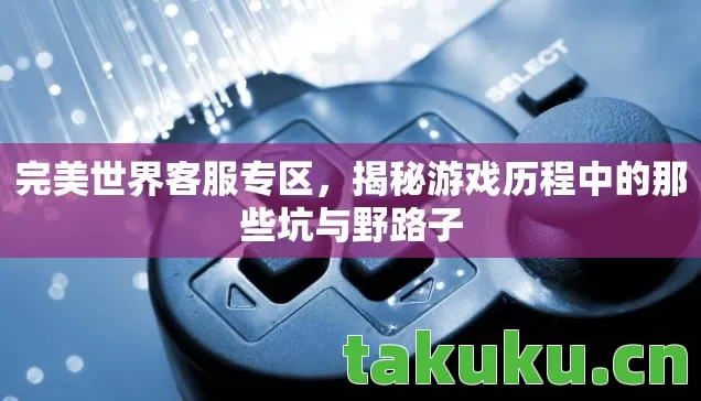 完美世界客服专区，揭秘游戏历程中的那些坑与野路子