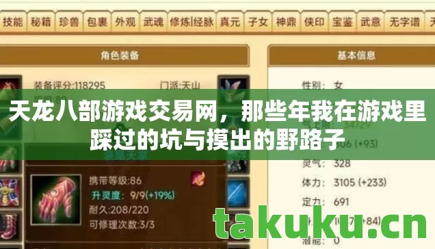 天龙八部游戏交易网，那些年我在游戏里踩过的坑与摸出的野路子