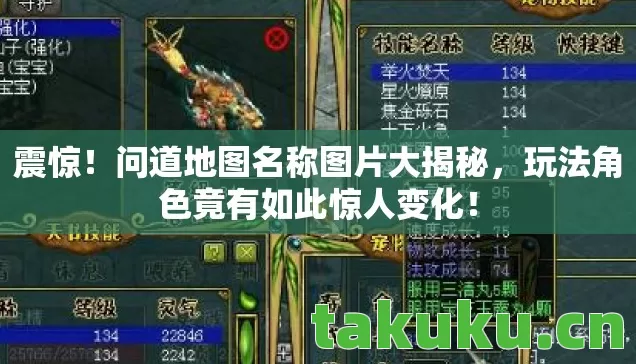 震惊！问道地图名称图片大揭秘，玩法角色竟有如此惊人变化！
