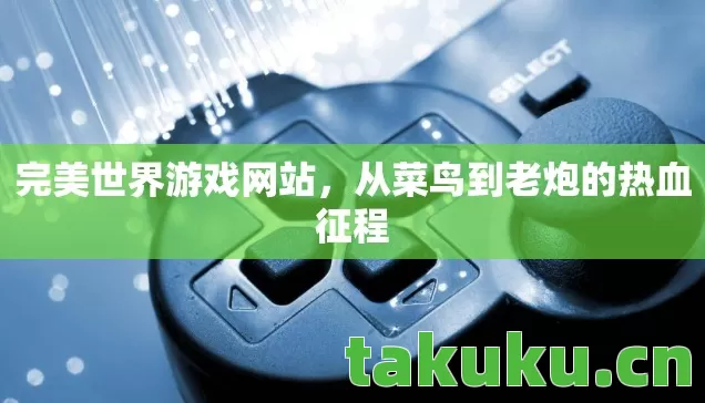 完美世界游戏网站,从菜鸟到老炮的热血征程 完美世界游戏网站,从菜鸟到老炮的热血征程