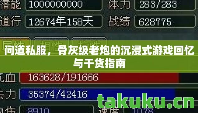 问道私服，骨灰级老炮的沉浸式游戏回忆与干货指南