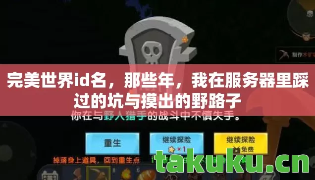 完美世界id名,那些年,我在服务器里踩过的坑与摸出的野路子 完美世界id名,那些年,我在服务器里踩过的坑与摸出的野路子