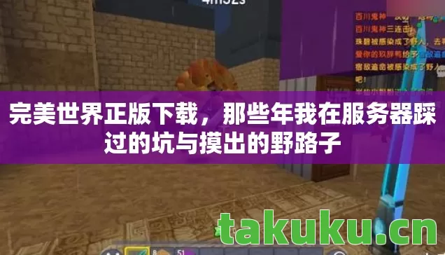 完美世界正版下载,那些年我在服务器踩过的坑与摸出的野路子 完美世界正版下载,那些年我在服务器踩过的坑与摸出的野路子