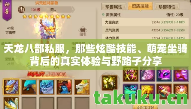 天龙八部私服,那些炫酷技能、萌宠坐骑背后的真实体验与野路子分享 天龙八部私服,那些炫酷技能、萌宠坐骑背后的真实体验与野路子分享