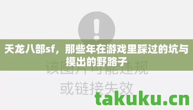 天龙八部sf,那些年在游戏里踩过的坑与摸出的野路子 天龙八部sf,那些年在游戏里踩过的坑与摸出的野路子