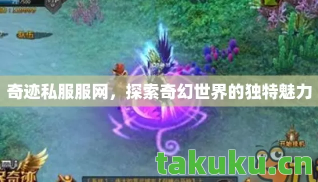 奇迹私服服网,探索奇幻世界的独特魅力 奇迹私服服网,探索奇幻世界的独特魅力