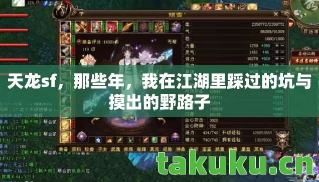 天龙sf，那些年，我在江湖里踩过的坑与摸出的野路子