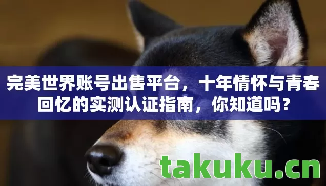 完美世界账号出售平台，十年情怀与青春回忆的实测认证指南，你知道吗？