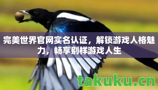 完美世界官网实名认证,解锁游戏人格魅力,畅享别样游戏人生 完美世界官网实名认证,解锁游戏人格魅力,畅享别样游戏人生