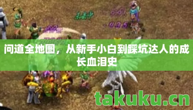 问道全地图,从新手小白到踩坑达人的成长血泪史 问道全地图,从新手小白到踩坑达人的成长血泪史