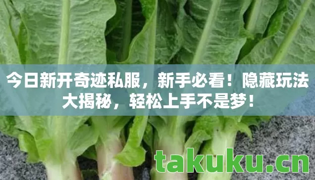 今日新开奇迹私服,新手必看!隐藏玩法大揭秘,轻松上手不是梦! 今日新开奇迹私服,新手必看!隐藏玩法大揭秘,轻松上手不是梦!