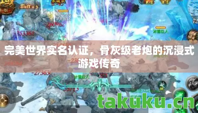 完美世界实名认证,骨灰级老炮的沉浸式游戏传奇 完美世界实名认证,骨灰级老炮的沉浸式游戏传奇