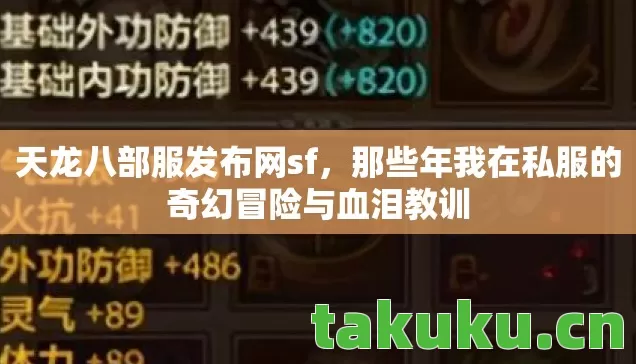 天龙八部服发布网sf,那些年我在私服的奇幻冒险与血泪教训 天龙八部服发布网sf,那些年我在私服的奇幻冒险与血泪教训