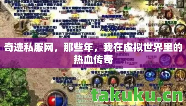 我在虚拟世界里的热血传奇图片