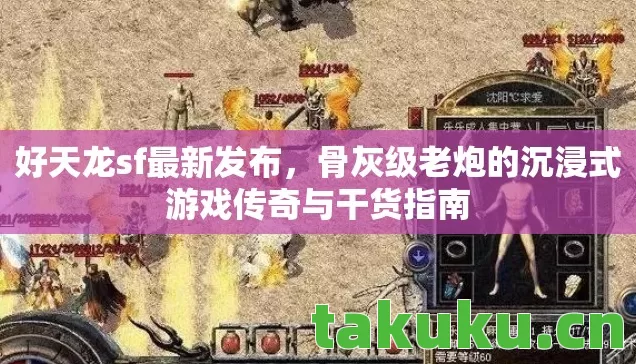 好天龙sf最新发布,骨灰级老炮的沉浸式游戏传奇与干货指南 好天龙sf最新发布,骨灰级老炮的沉浸式游戏传奇与干货指南