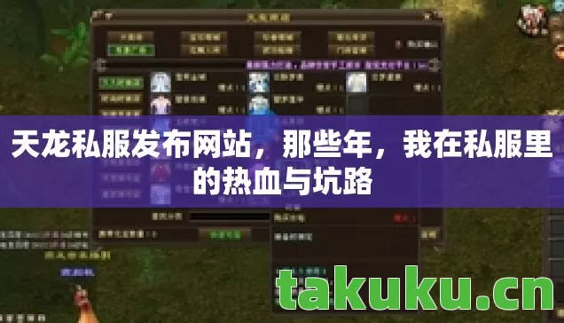 天龙私服发布网站,那些年,我在私服里的热血与坑路 天龙私服发布网站,那些年,我在私服里的热血与坑路