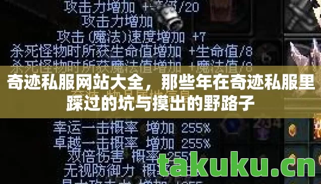 奇迹私服网站大全，那些年在奇迹私服里踩过的坑与摸出的野路子