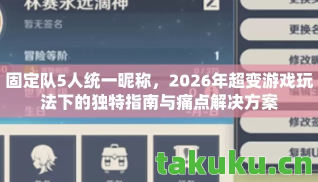 固定队5人统一昵称，2026年超变游戏玩法下的独特指南与痛点解决方案