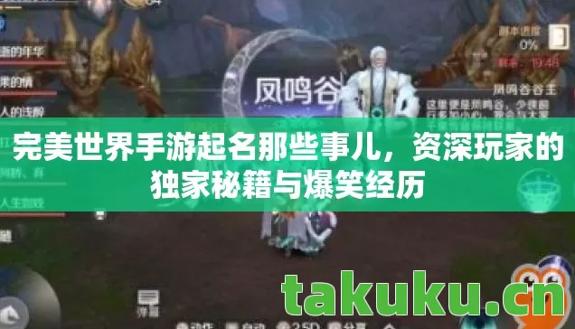 完美世界手游起名那些事儿，资深玩家的独家秘籍与爆笑经历