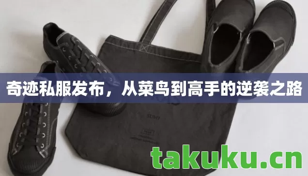 奇迹私服发布,从菜鸟到高手的逆袭之路 奇迹私服发布,从菜鸟到高手的逆袭之路