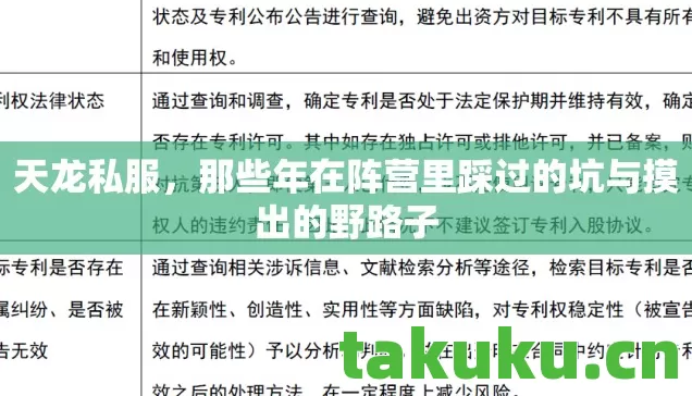 天龙私服,那些年在阵营里踩过的坑与摸出的野路子 天龙私服,那些年在阵营里踩过的坑与摸出的野路子