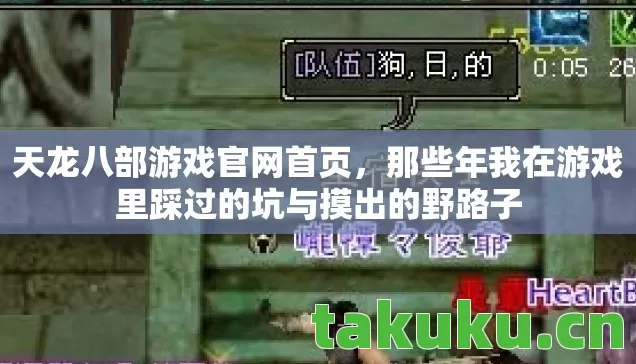 天龙八部游戏官网首页，那些年我在游戏里踩过的坑与摸出的野路子