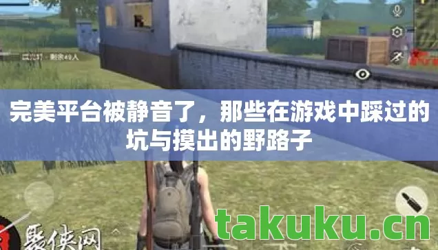完美平台被静音了，那些在游戏中踩过的坑与摸出的野路子