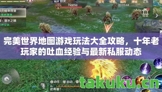 十年老玩家的吐血经验与最新私服动态图片