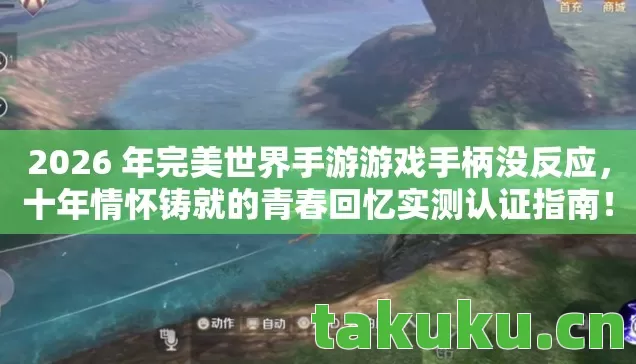 2026 年完美世界手游游戏手柄没反应图片